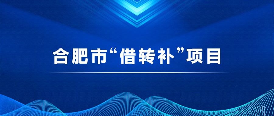 合肥市“借轉(zhuǎn)補”項目